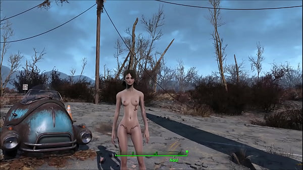 Fallout 4 Power Armor and Fuck