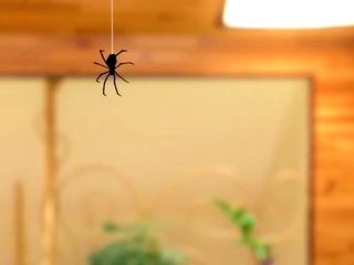 Spider-Cass: Across the Milf-Verse