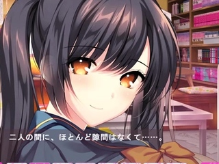 Mix of Hentai movs from Hentai Niches