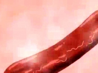 BEST HENTAI VIDEO OF ALLTIME MORE ON GOXXXHD